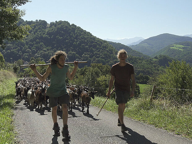 Deux bergers du documentaire La réponse des bergers marchent devant un troupeau de chèvres en montagne